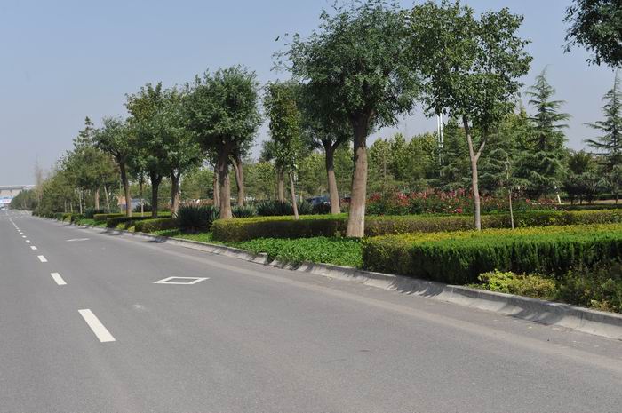 2011-10-13仓程路 (4).jpg